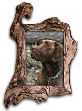 Unusual wood picture frames 8x12 driftwood frame with glass custom-crafted wood frames